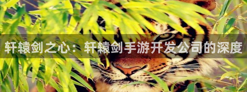 摩根娱乐官网入口网址是什么：轩辕剑之心：轩辕剑手游开发公司的
