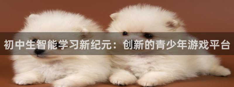 摩根娱乐是正规公司吗：初中生智能学习新纪元：创新的青少年游戏