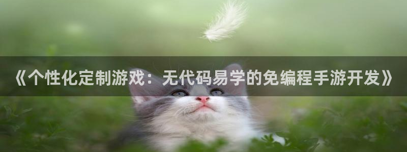 摩根娱乐云挂机教程：《个性化定制游戏：无代码易学的免编程手游