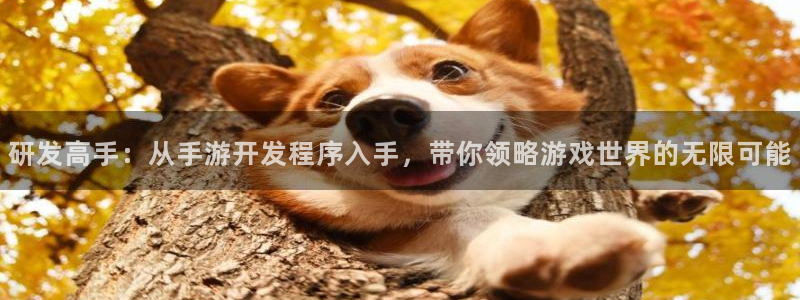 摩根娱乐这个平台怎么样呀：研发高手：从手游开发程序入手，带你