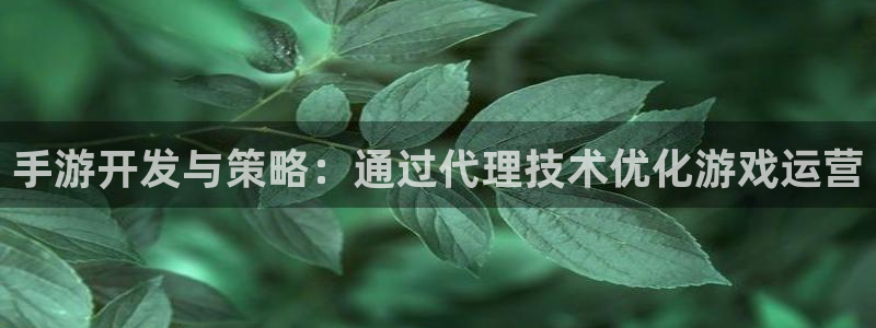 摩根娱乐登陆：手游开发与策略：通过代理技术优化游戏运营
