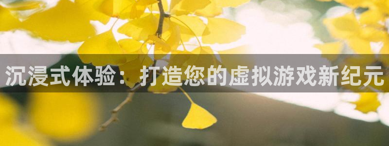 摩根娱乐是个什么平台啊：沉浸式体验：打造您的虚拟游戏新纪元