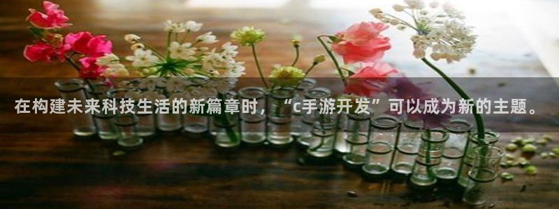 摩根娱乐这个平台怎么样：在构建未来科技生活的新篇章时，“c手