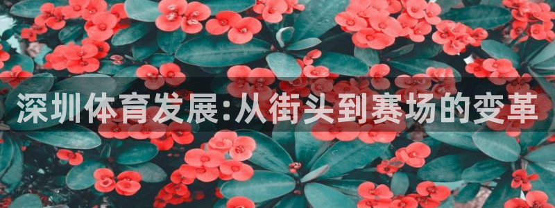 米兰体育在线：深圳体育发展:从街头到赛场的变革