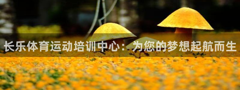 米兰体育网页版登录：长乐体育运动培训中心：为您的梦想起航而生