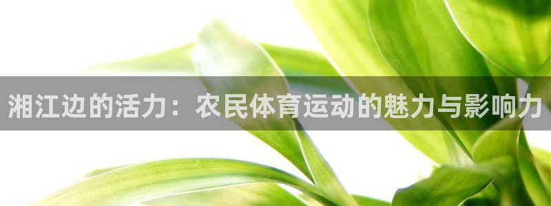 米兰体育官网：湘江边的活力：农民体育运动的魅力与影响力
