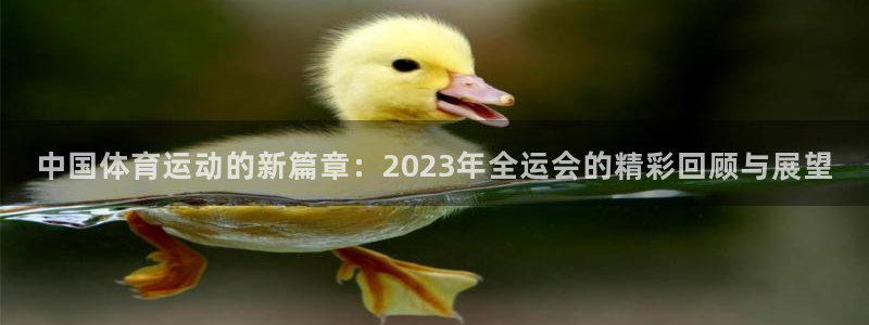 米兰体育.：中国体育运动的新篇章：2023年全运会的精彩回顾与展望