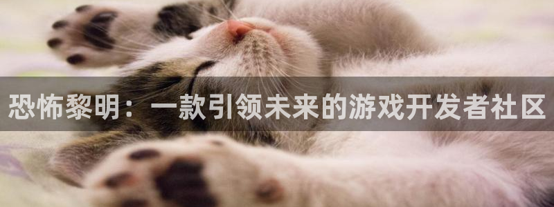 摩根娱乐app下载官网安装：恐怖黎明：一款引领未来的游戏开发